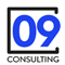 09Consulting